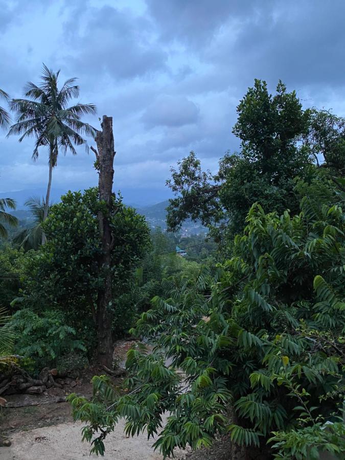 Pearl'S Homestay Matale Εξωτερικό φωτογραφία