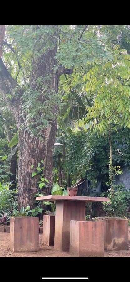 Pearl'S Homestay Matale Εξωτερικό φωτογραφία